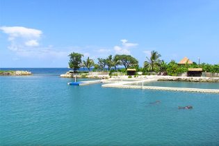 dolphin cove-1